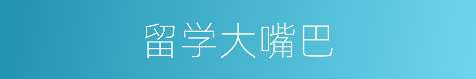 留学大嘴巴的同义词