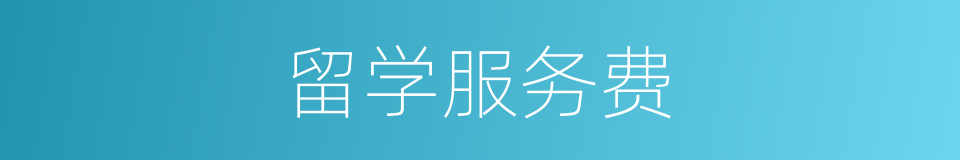 留学服务费的同义词
