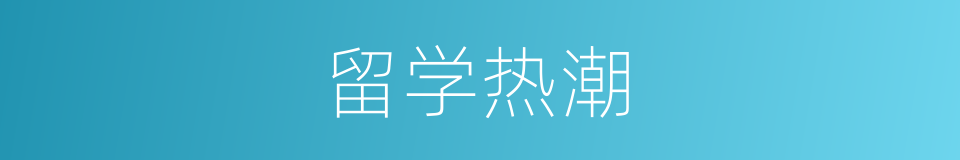 留学热潮的同义词