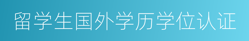 留学生国外学历学位认证的同义词