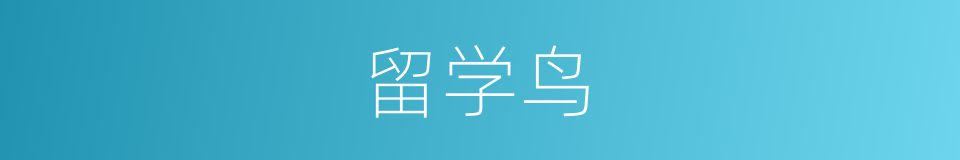 留学鸟的同义词