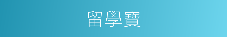 留學寶的同義詞
