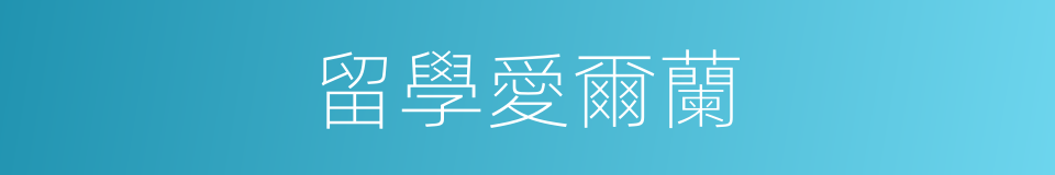 留學愛爾蘭的同義詞