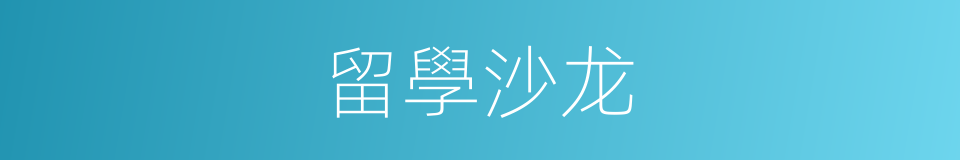 留學沙龙的同義詞