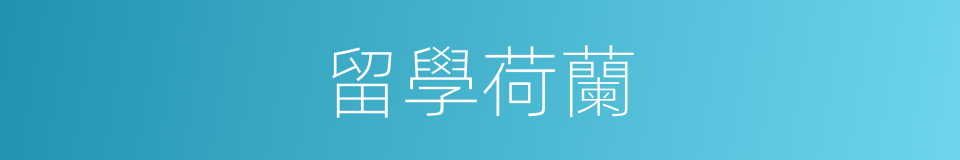 留學荷蘭的同義詞