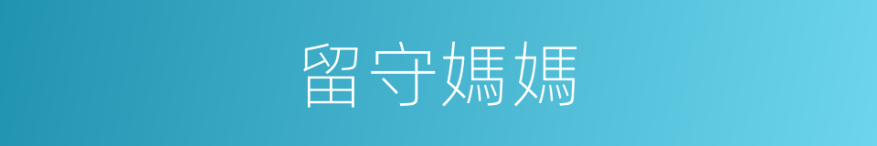 留守媽媽的同義詞