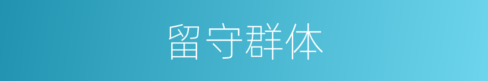 留守群体的同义词