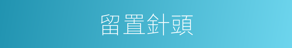 留置針頭的同義詞