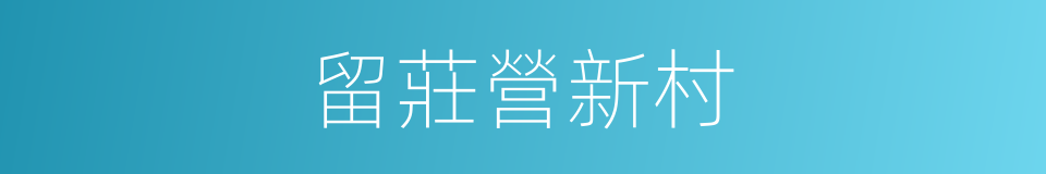 留莊營新村的同義詞