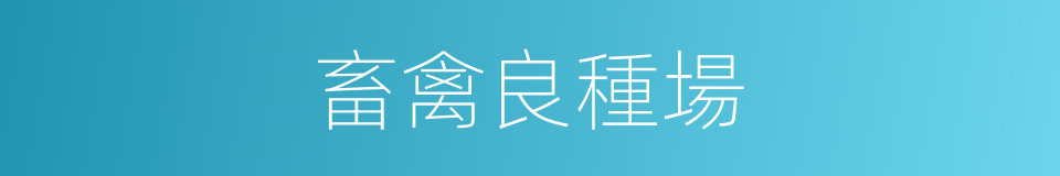 畜禽良種場的同義詞