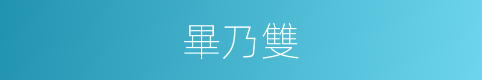 畢乃雙的同義詞