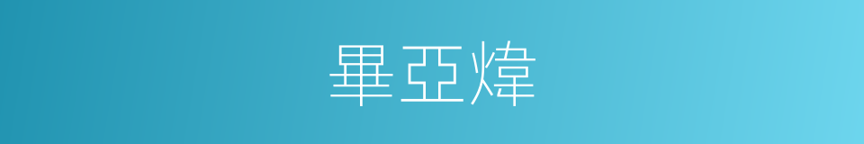 畢亞煒的同義詞