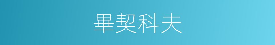畢契科夫的同義詞
