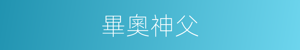 畢奧神父的同義詞