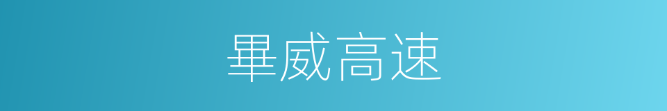 畢威高速的同義詞