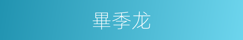 畢季龙的同義詞