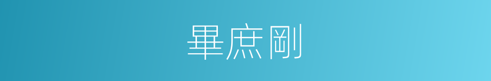 畢庶剛的同義詞
