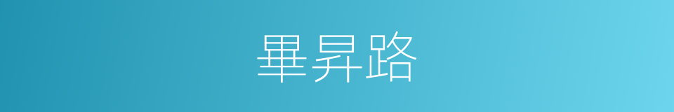 畢昇路的同義詞