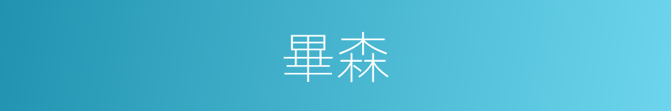 畢森的同義詞