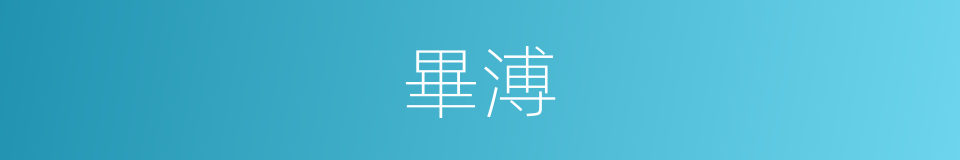 畢溥的同義詞