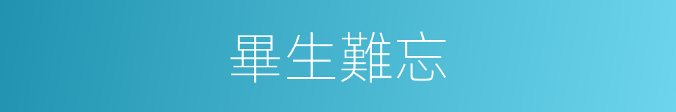 畢生難忘的同義詞