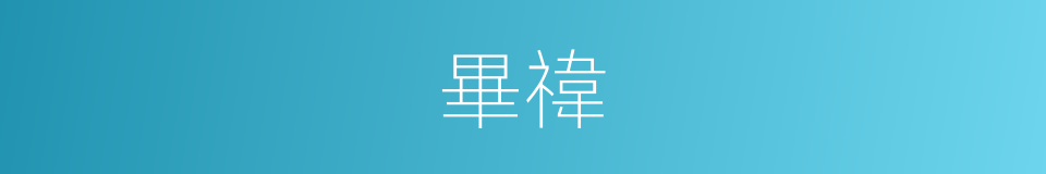 畢禕的同義詞