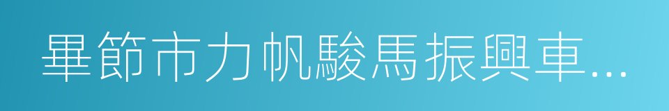 畢節市力帆駿馬振興車輛有限公司的同義詞