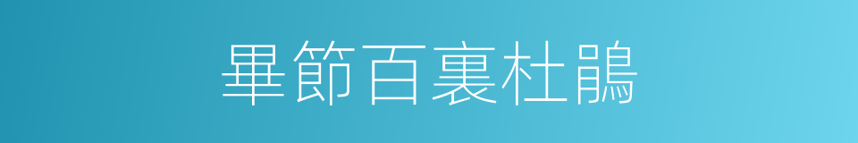 畢節百裏杜鵑的同義詞
