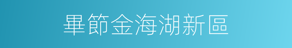 畢節金海湖新區的同義詞