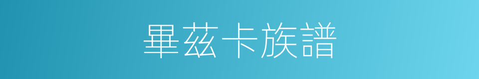 畢茲卡族譜的同義詞