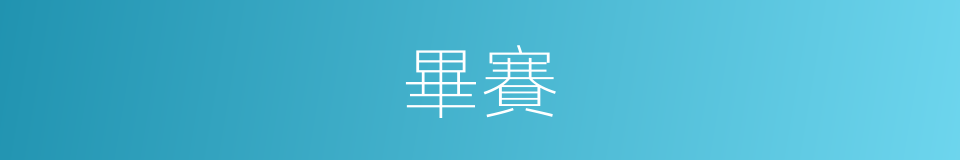 畢賽的同義詞