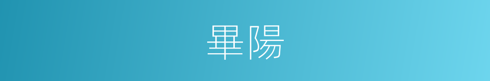 畢陽的同義詞