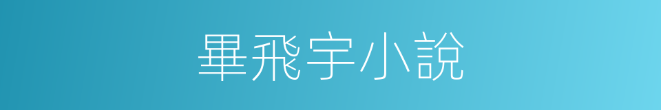 畢飛宇小說的同義詞