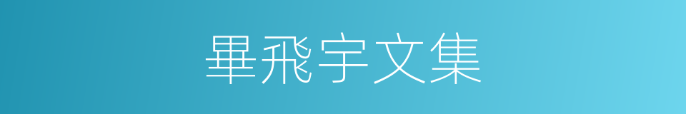 畢飛宇文集的同義詞