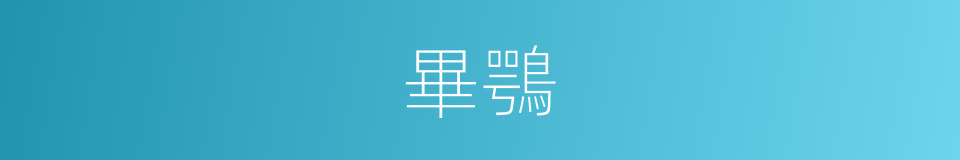 畢鶚的同義詞