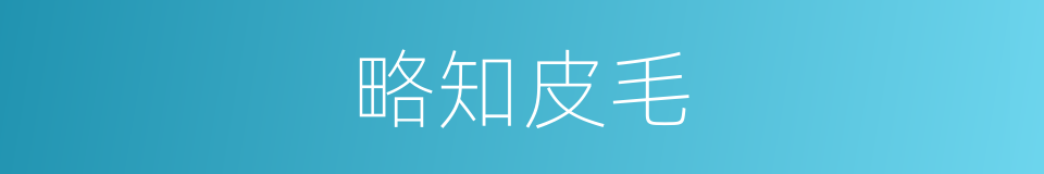 略知皮毛的意思
