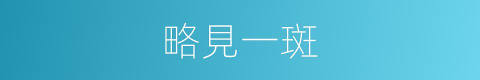 略見一斑的意思
