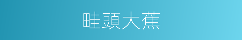 畦頭大蕉的同義詞