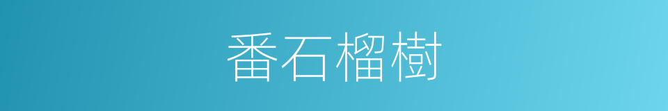 番石榴樹的同義詞