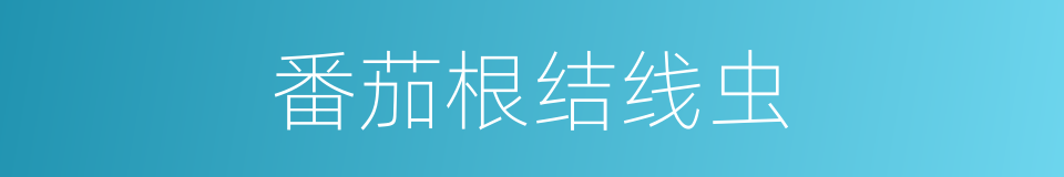 番茄根结线虫的同义词