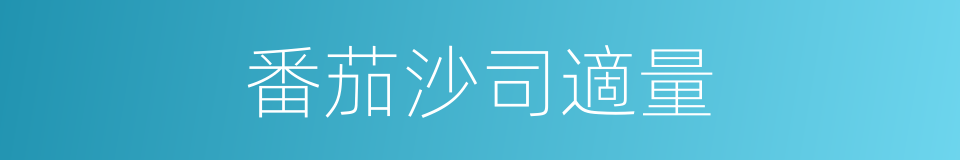 番茄沙司適量的同義詞