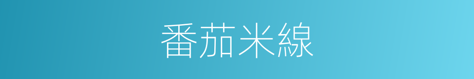 番茄米線的同義詞