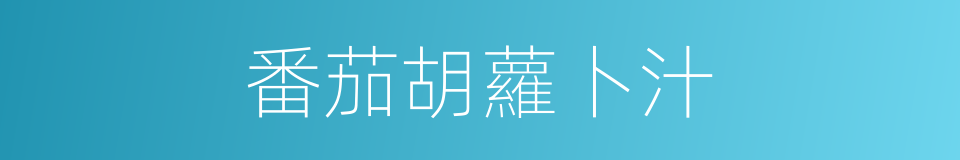 番茄胡蘿卜汁的同義詞