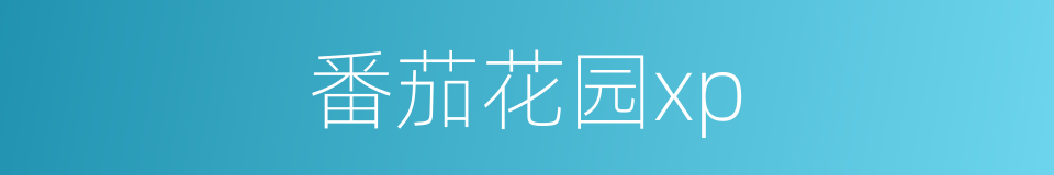 番茄花园xp的同义词