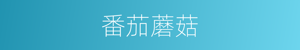 番茄蘑菇的同义词