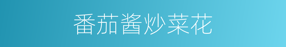 番茄酱炒菜花的同义词