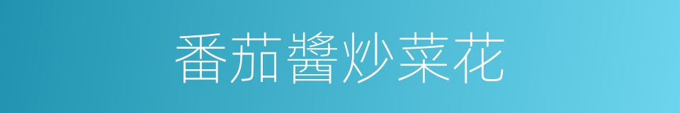 番茄醬炒菜花的同義詞