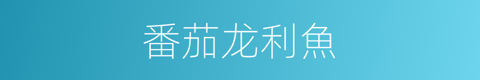 番茄龙利魚的同義詞