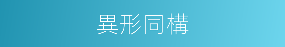 異形同構的意思