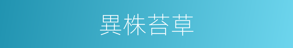 異株苔草的同義詞